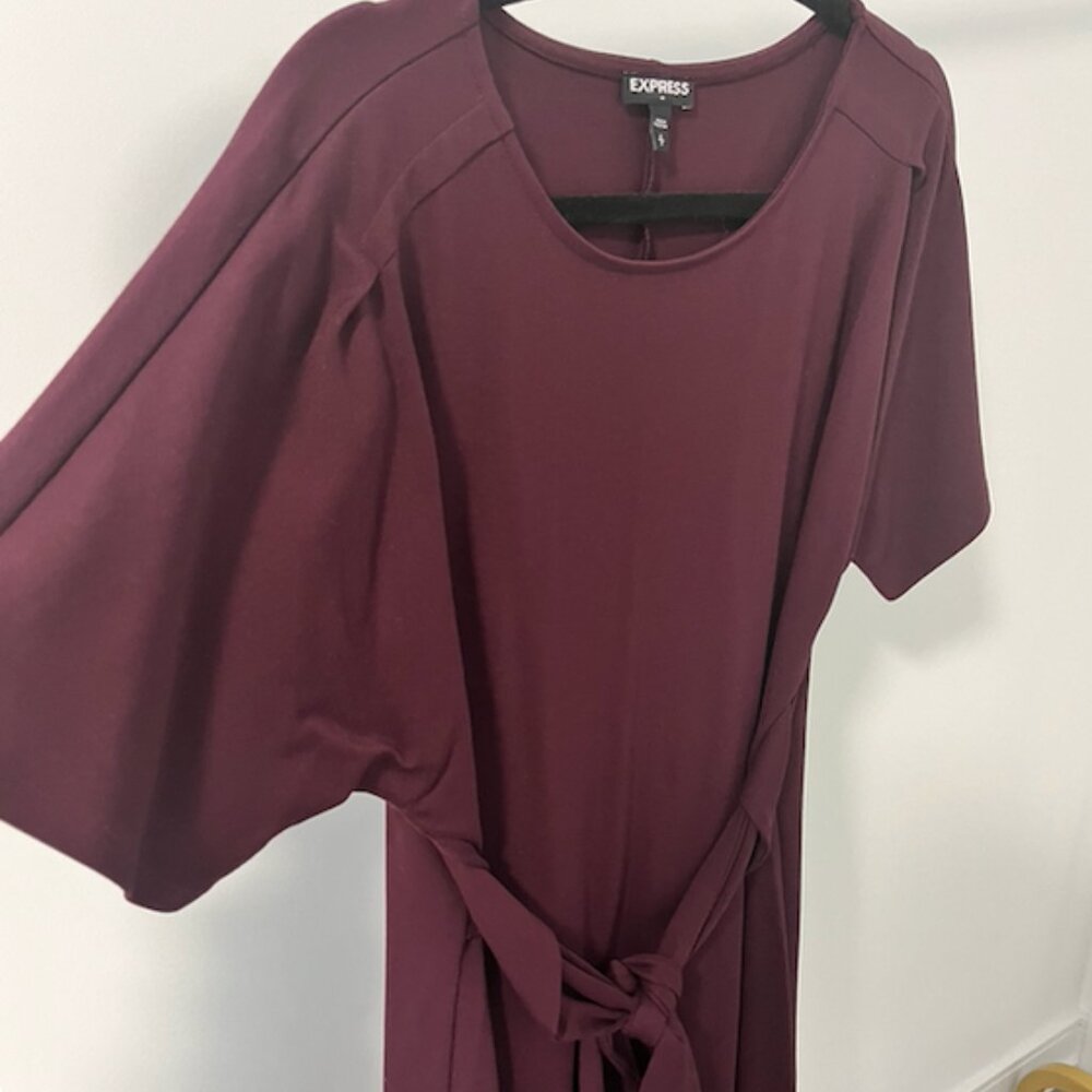Plum T-Shirt Express Dress